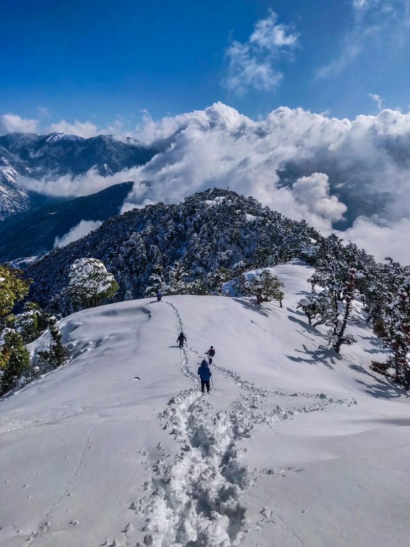 The Great Himachal Trek